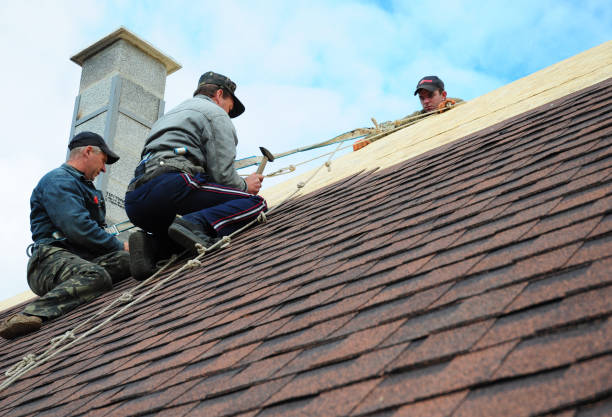 Quick and Trustworthy Emergency Roof Repair Services in Winfield, AL